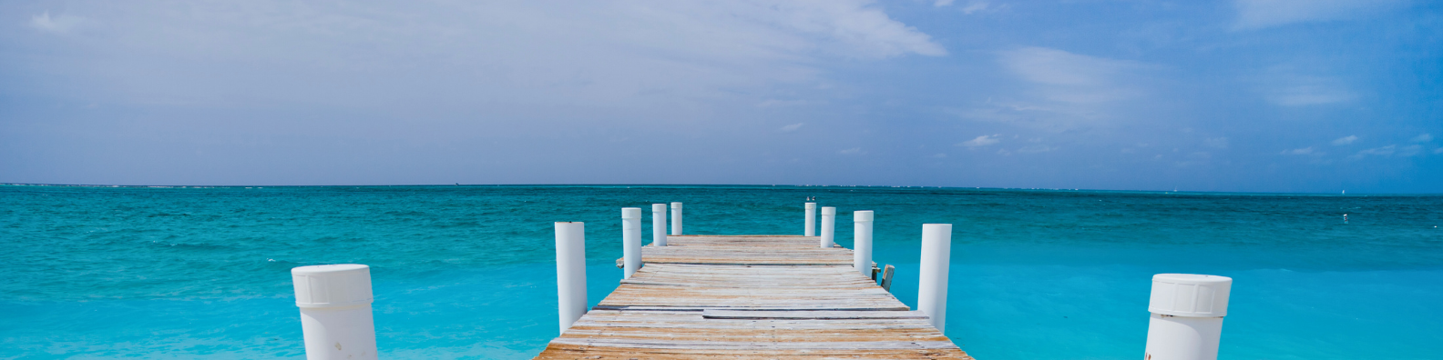 camino y cultivo de la consciencia, integración y regulación emocional