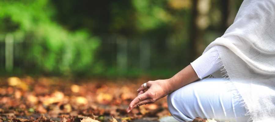 Actividades Ipsimed 2023-2024