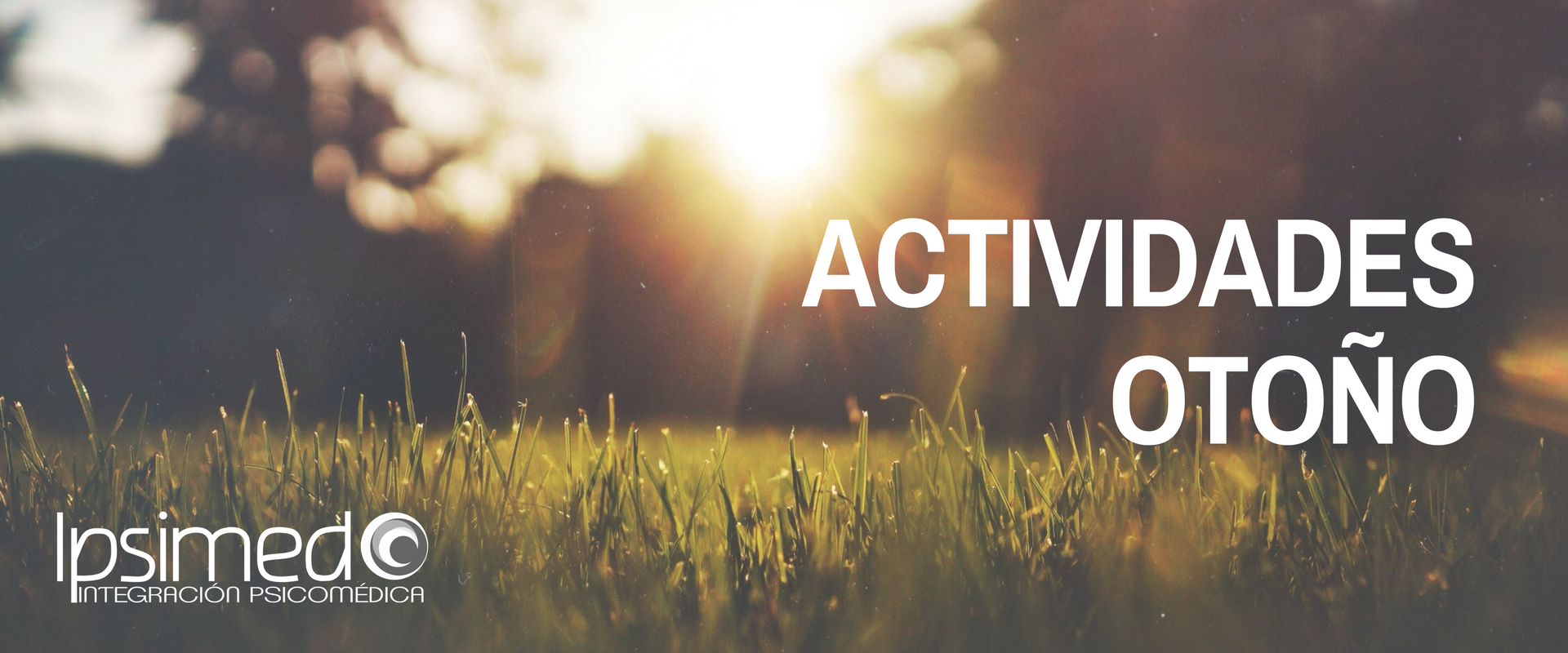 Actividades Otoño Ipsimed