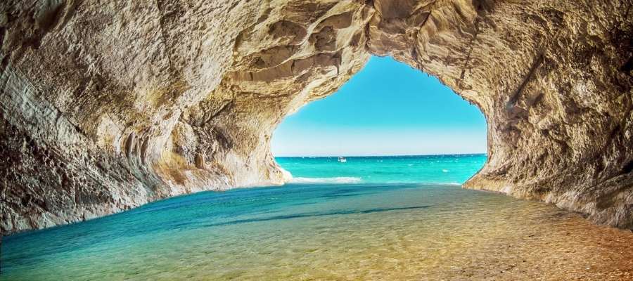 Cierre del curso Ipsimed 2021.Feliz Verano