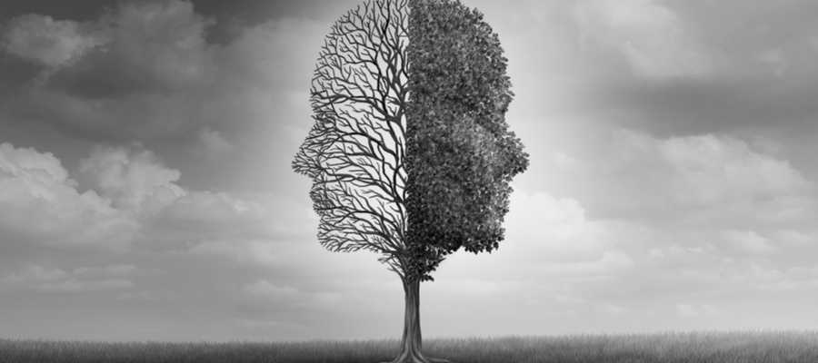 Ipsimed en los VII Encuentros de Otoño de la Federación de Asociaciones de Psicólogos y Médicos Psicoterapeutas de España