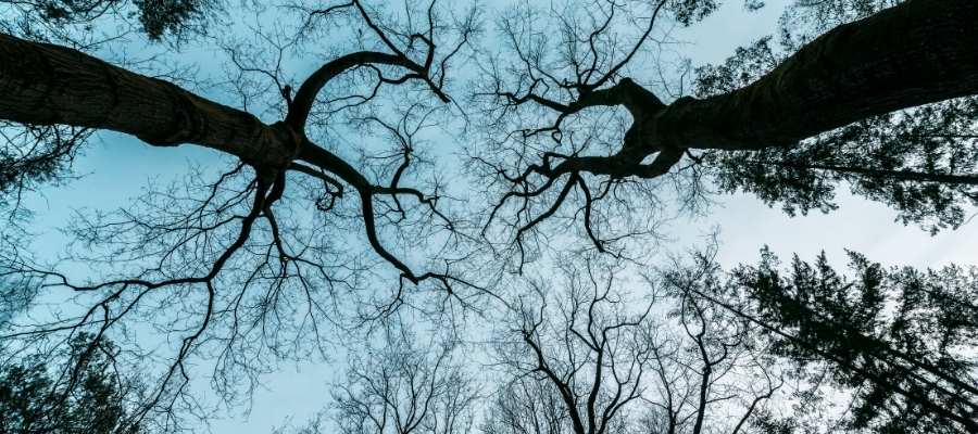 Mare of Easttown. Mucho más que un thriller policíaco