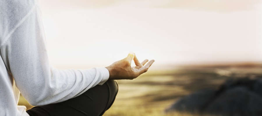 Mindfulness para el equilibrio físico, mental y emocional Edicion Primavera
