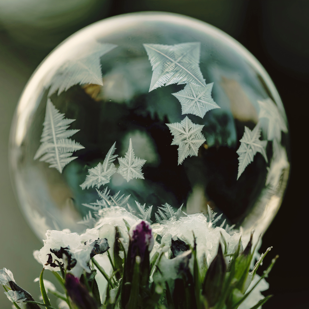Una bola de cristal con vegetación y nieve en su base.