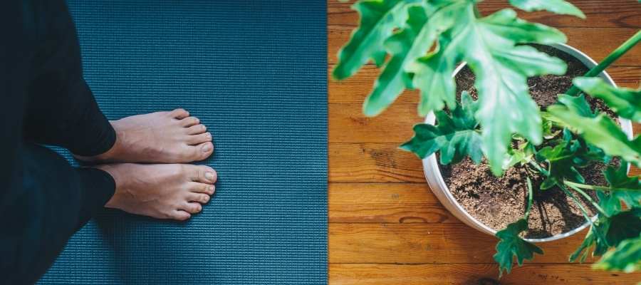 Yoga Terapeutico_Ipsimed