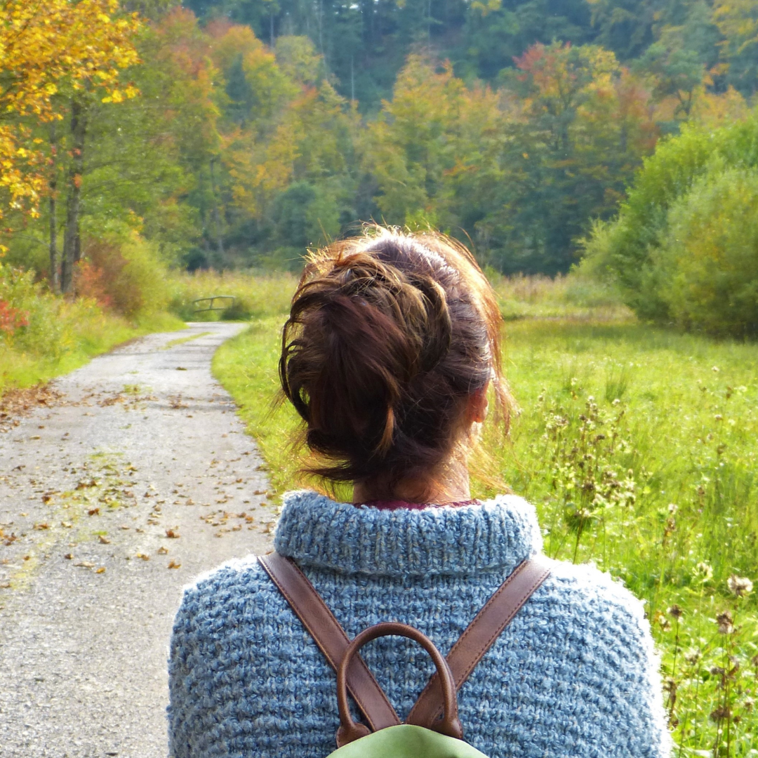 Camino y cultivo de la consciencia, integración y regulación emocional