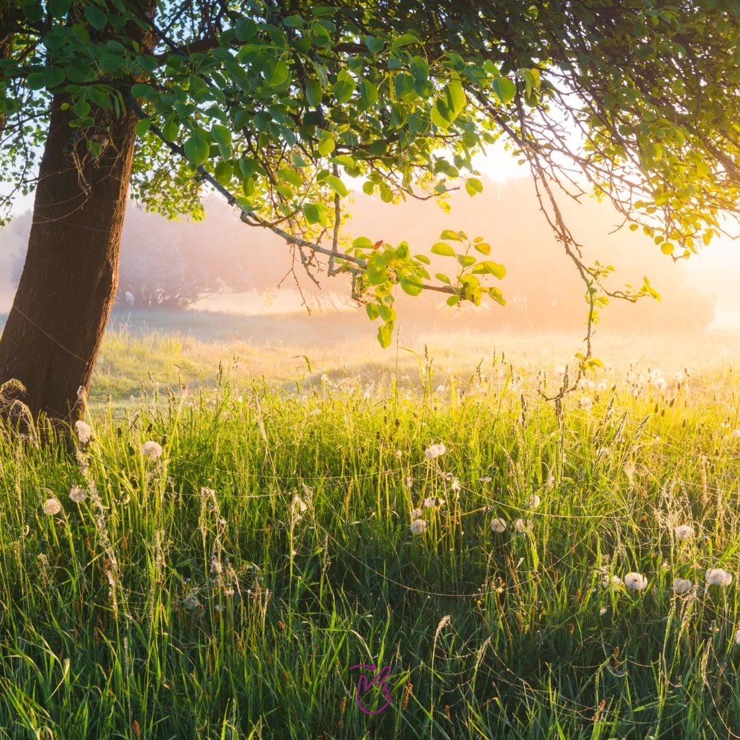 salud integral y preventiva